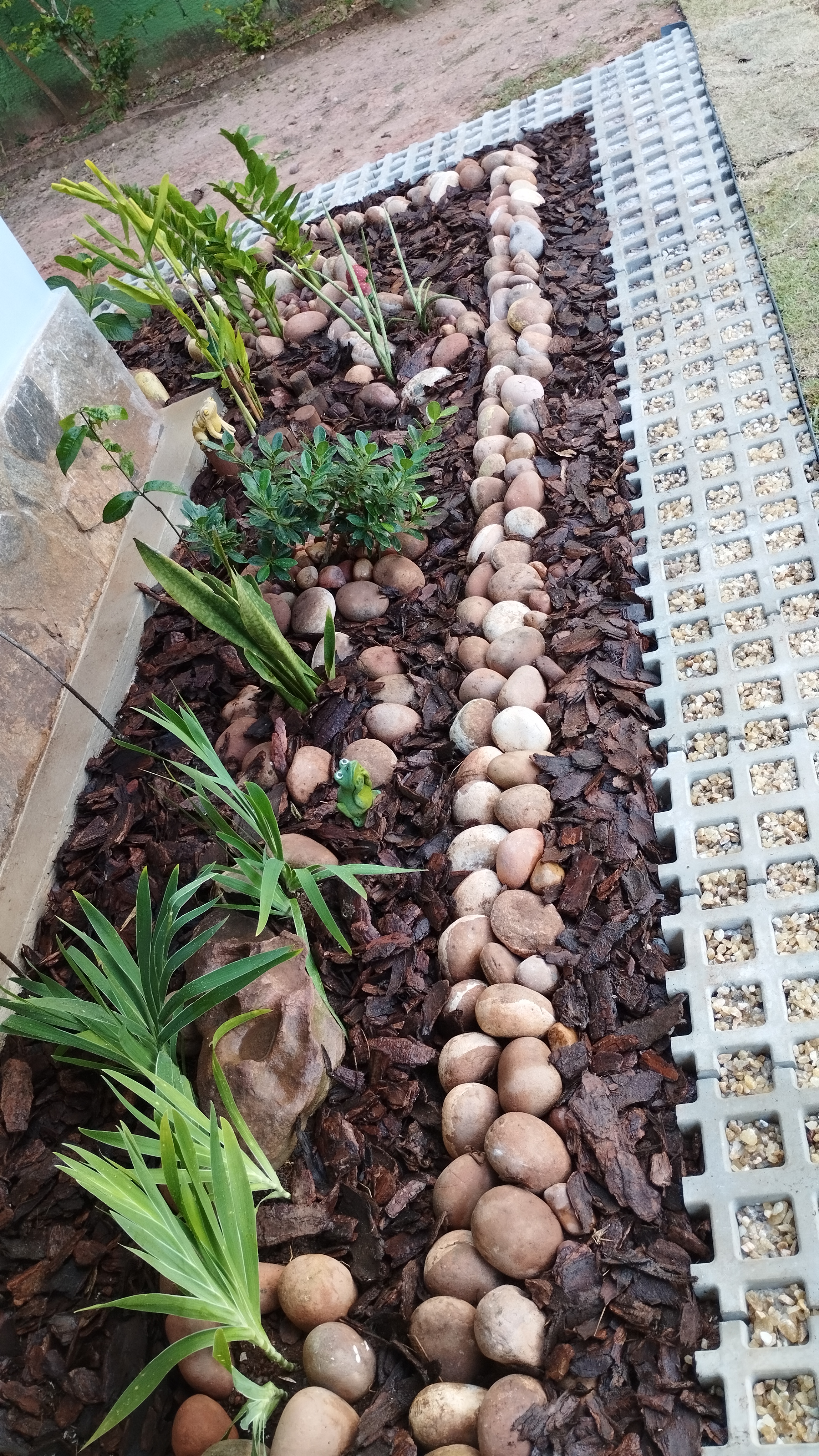 Ambiente harmonizado com plantas