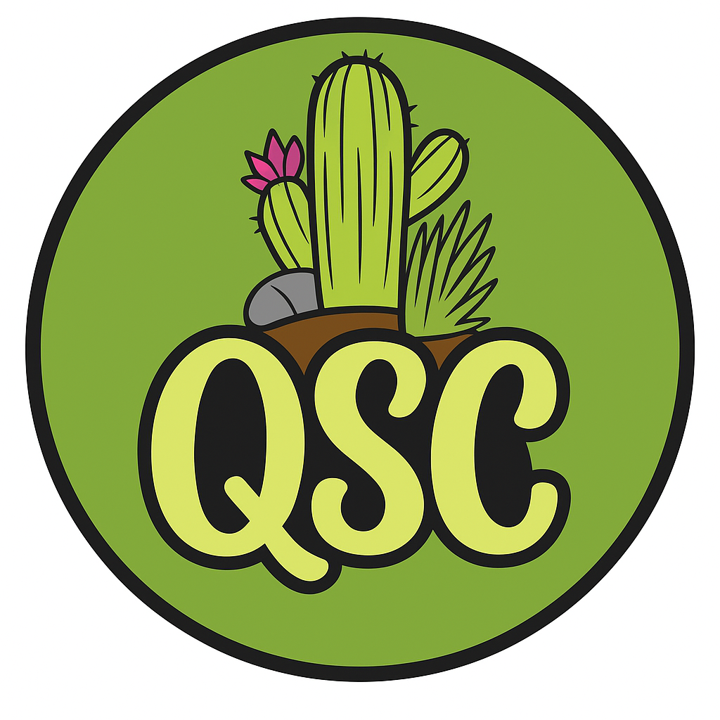 Logotipo da moeda QSCOIN